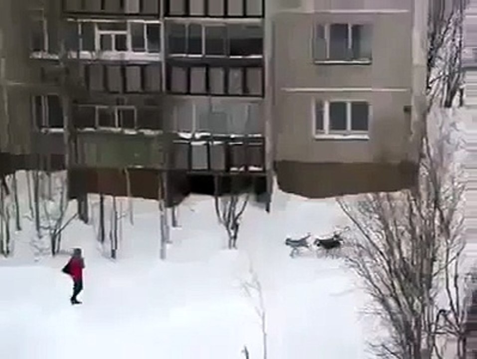Russian janitor saves women from pack of wild dogs... (Funny Videos 720p)