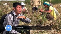 Biodiversidad en Camboya | Global 3000