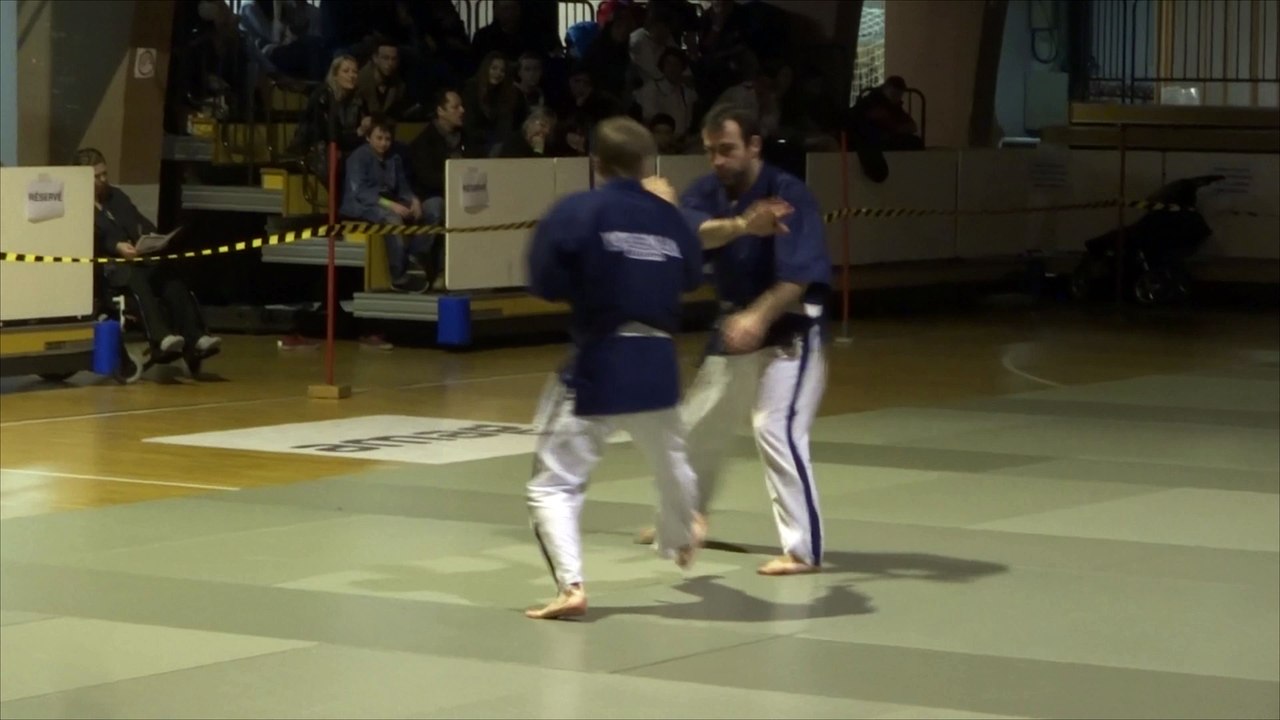 Extrait de la demonstration de Yoseikan Budo a Vevey