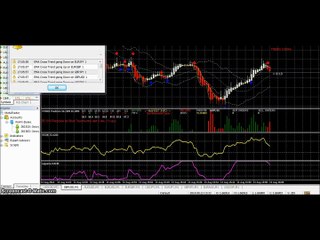 Nautilus Method Review