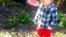 Looking for Easter eggs in the garden in Holland. Флорис ищет пасхальные яйца в саду.