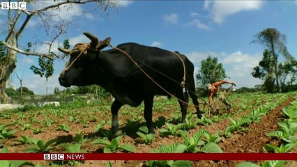 Obama approves first US factory in Cuba in 50 years