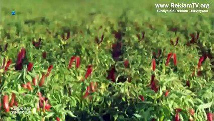 3 Katlı Özel Paket - Ülker Ducros Baharat Reklamı