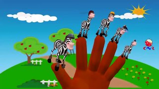 Finger Family Rhymes | Animals Cartoons for Children | Animal Children Nursery Rhymes Coll