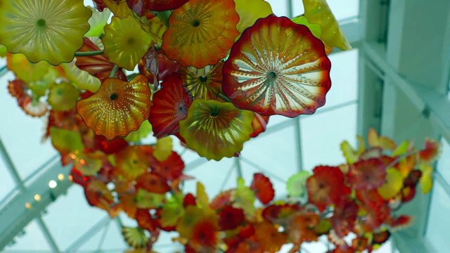 Mulsanne Visionaries - The Future of Aesthetics with Dale Chihuly