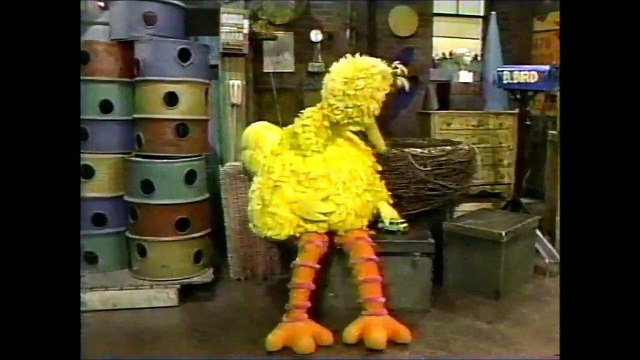Big Bird learns about love Sesame Street Episode 2411