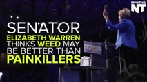 Senator Elizabeth Warren Wants The CDC To Explore Marijuana As An Alternative To Painkilllers