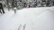 Des skieurs hors-piste nez à nez avec un léopard des neiges - Expérience flippante