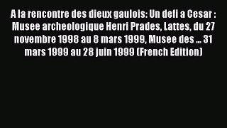 Read A la rencontre des dieux gaulois: Un defi a Cesar : Musee archeologique Henri Prades Lattes