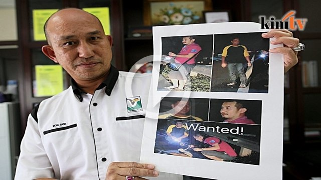 Video: cabut taring harimau, perhilitan buru pelaku