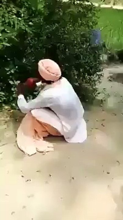 funny Video Clip