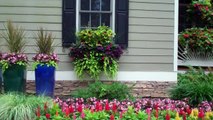 Beautiful Window Boxes and Hanging Baskets, 2011, 1 5 min