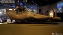 NewCa.com: 2016 OSC. Mammoths and Mastodons EX Opening