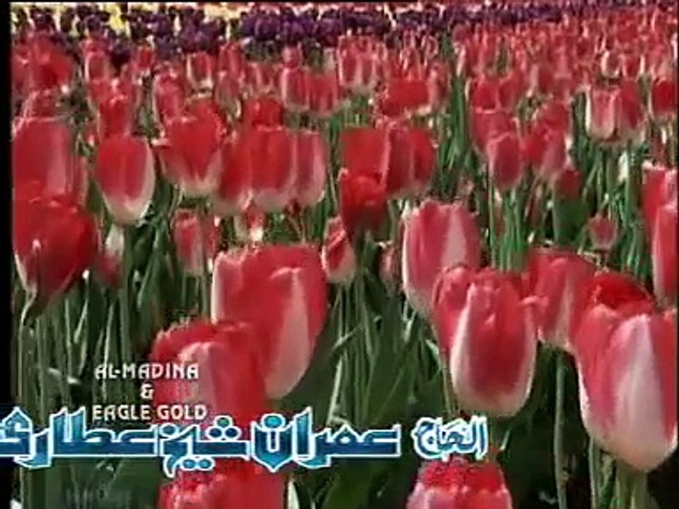 Tere Rang Rang - Imran Sheikh Attari Videos