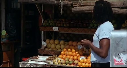 Strays - Film Complet VF