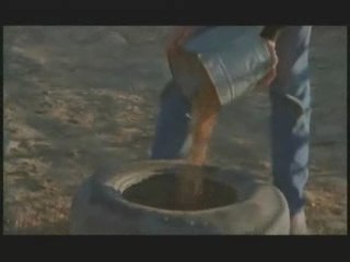 NATURE | Wisdom of the Wild | Turning Your Life Around | PBS