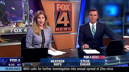 Bobcat jumps into backyard, kills dog