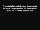 Download Productivity Secrets Unleashed : Underground Secrets of Productivity That The Big