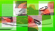 Best buy  adidas Performance SFlex K Running Shoe BlackRedWhite15 M US Little Kid