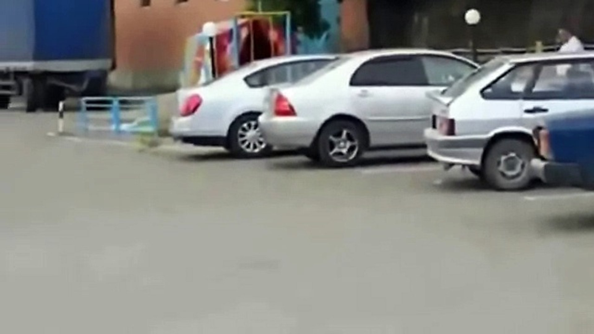 ⁣Смешные животные приколы - кто здесь кот, а кто собака-