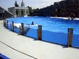 Batumi Dolphinarium - Батуми Дельфинарий