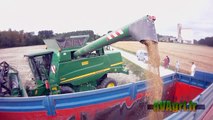 JOHN DEERE T560 à la récolte des chardons en 2012