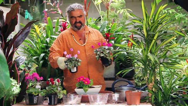 Gardening Help - How to Create a Potted Flower Garden for Shade