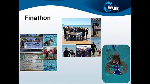 Test Yourself - Project AWARE - PADI IDC Gili Islands