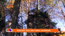 Haberin Olsun TRT Çocuk 26 kasım 2015