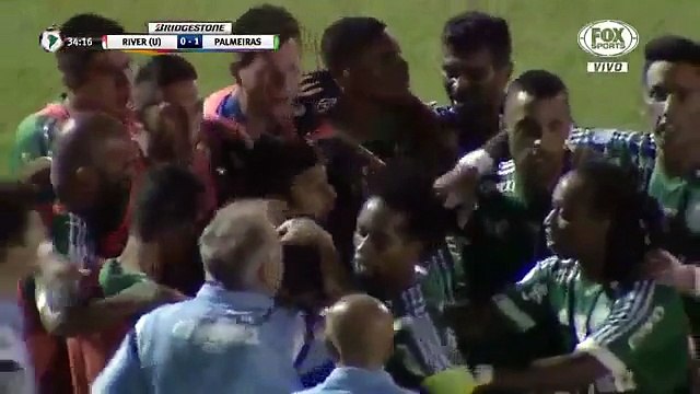 River Plate 2-2 Palmeiras ~ [Copa Libertadores] - 16.02.2016 - All Goals & Highlights