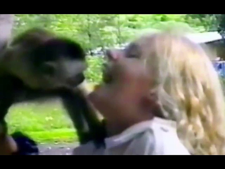 The funniest animals in the world