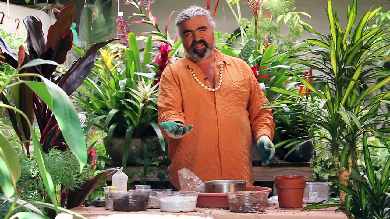 Gardening Help - How to Prepare Tropical Seeds for Germination