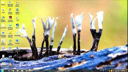 How To Earn Free Bitcoins