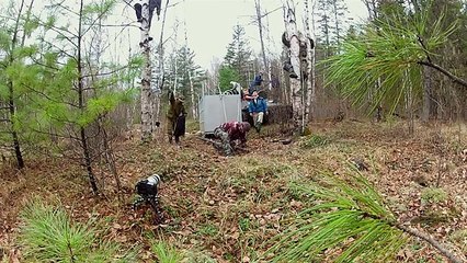 Una tigre viene rilasciata nel suo ambiente naturale. Guardatela la sua reazione!