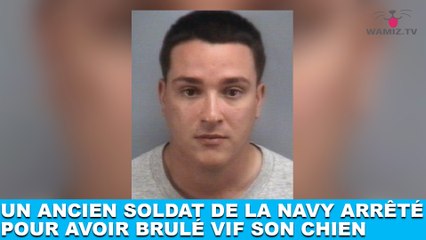 Un ancien soldat de la Navy arrêté pour avoir brulé vif son chien... Une terrible histoire dans la minute chien #132