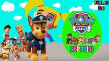 Щенячий патруль большое яйцо с сюрпризом открываем игрушки Giant surprise egg Paw patrol toys Катя