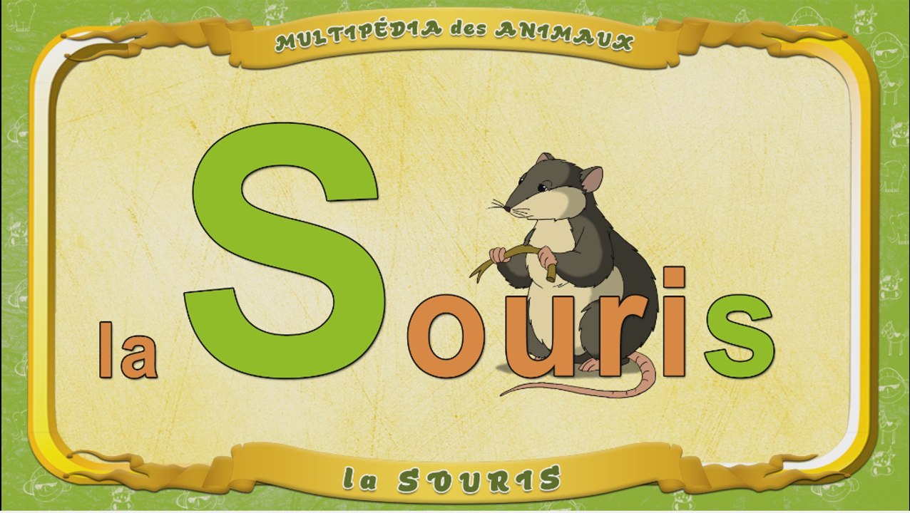 Multipédia des animaux. La lettre S - la Souris
