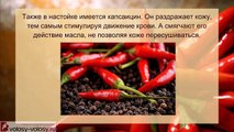 Перцовая настойка для роста волос. ПРИМЕНЕНИЕ перцовой настойки для ускорения роста волос