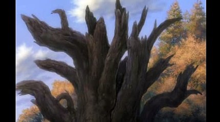 바카라싸이트で＼＼【KOP77。COM】＼＼ぺ바카라추천사이트알라딘게임