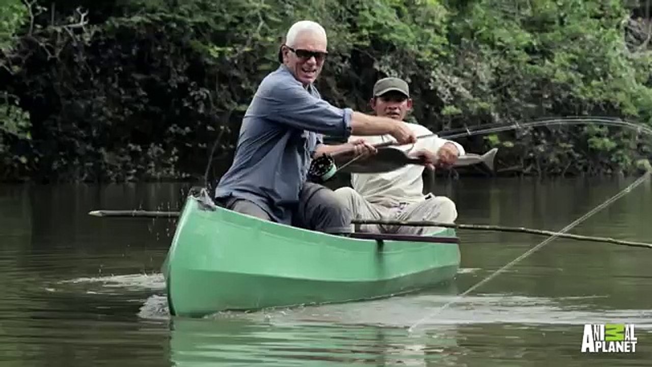 Monster Arapaima is Your 'Mermaid' of Lore - River Monsters -