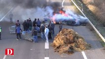 Roques (31) : les agriculteurs bloquent l'accès au centre commercial Leclerc