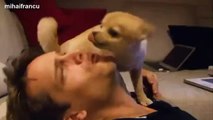 Cutest Puppies Howling Compilation Cute