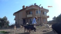 Mersin - Kedi Köpek Besleyen Azeri Piyanisti Komşuları İstemiyor