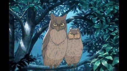 블랙잭주소ぺ＼＼【KOP77。COM】＼＼ょ바카라주소바카라양방프로그램