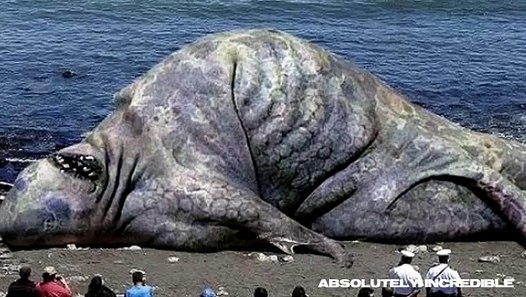 Real SEA MONSTER! 70 foot long hybrid GIANT SQUID-SHARK found near