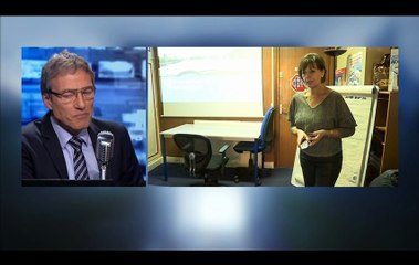 Réforme du permis de conduire: "Le nouvel examen sera payant, autour de 30 euros"