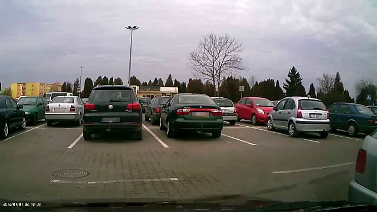 Girl trying to Park