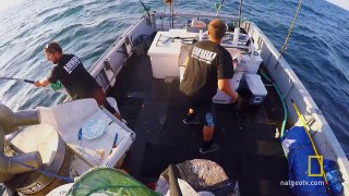 Hooked on a Monstah | Wicked Tuna: Catch of the Week