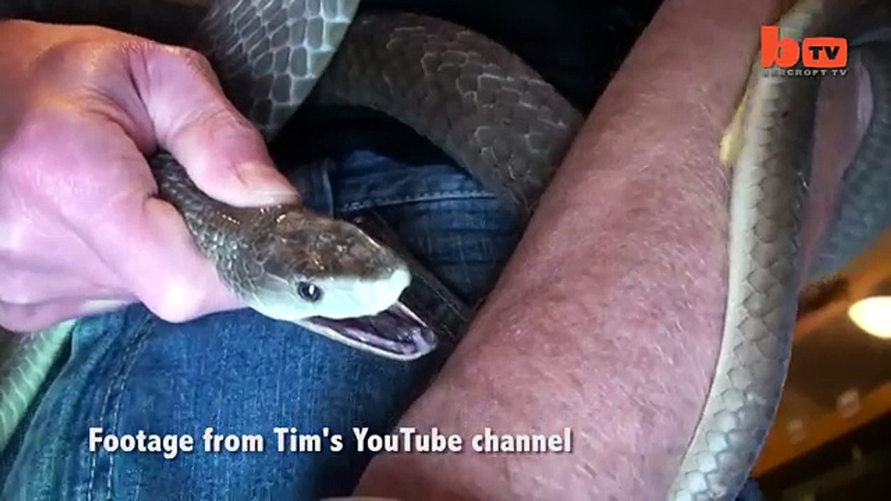'Venom Man' Lets Deadliest Snakes Bite Him
