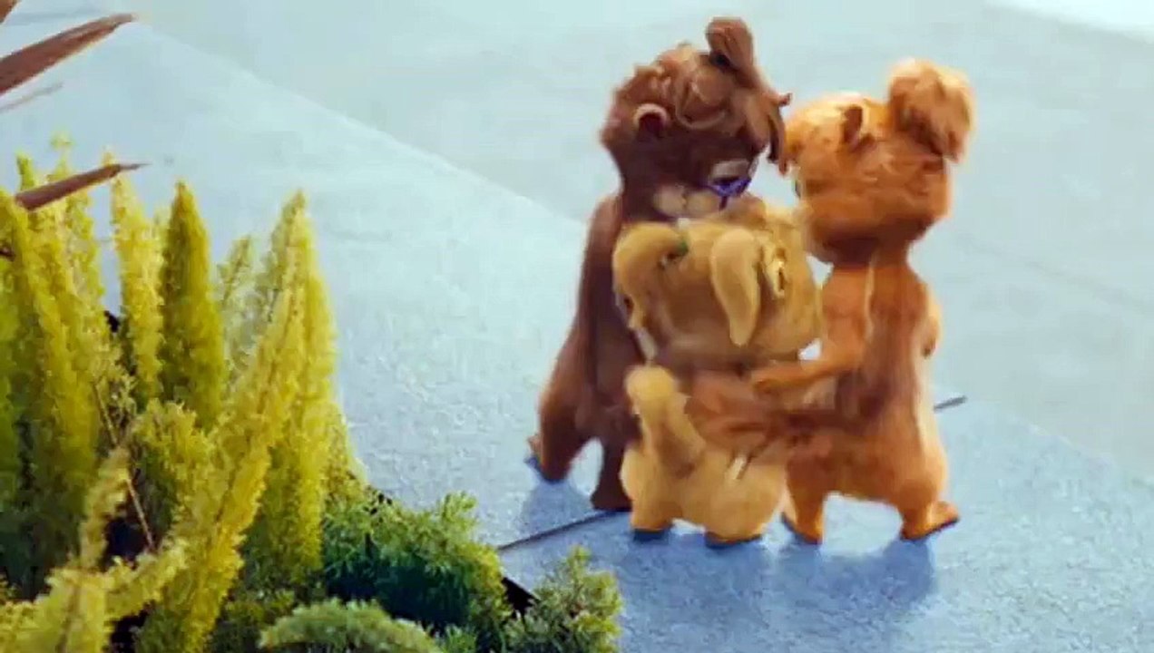 Happy Birthday Honey.